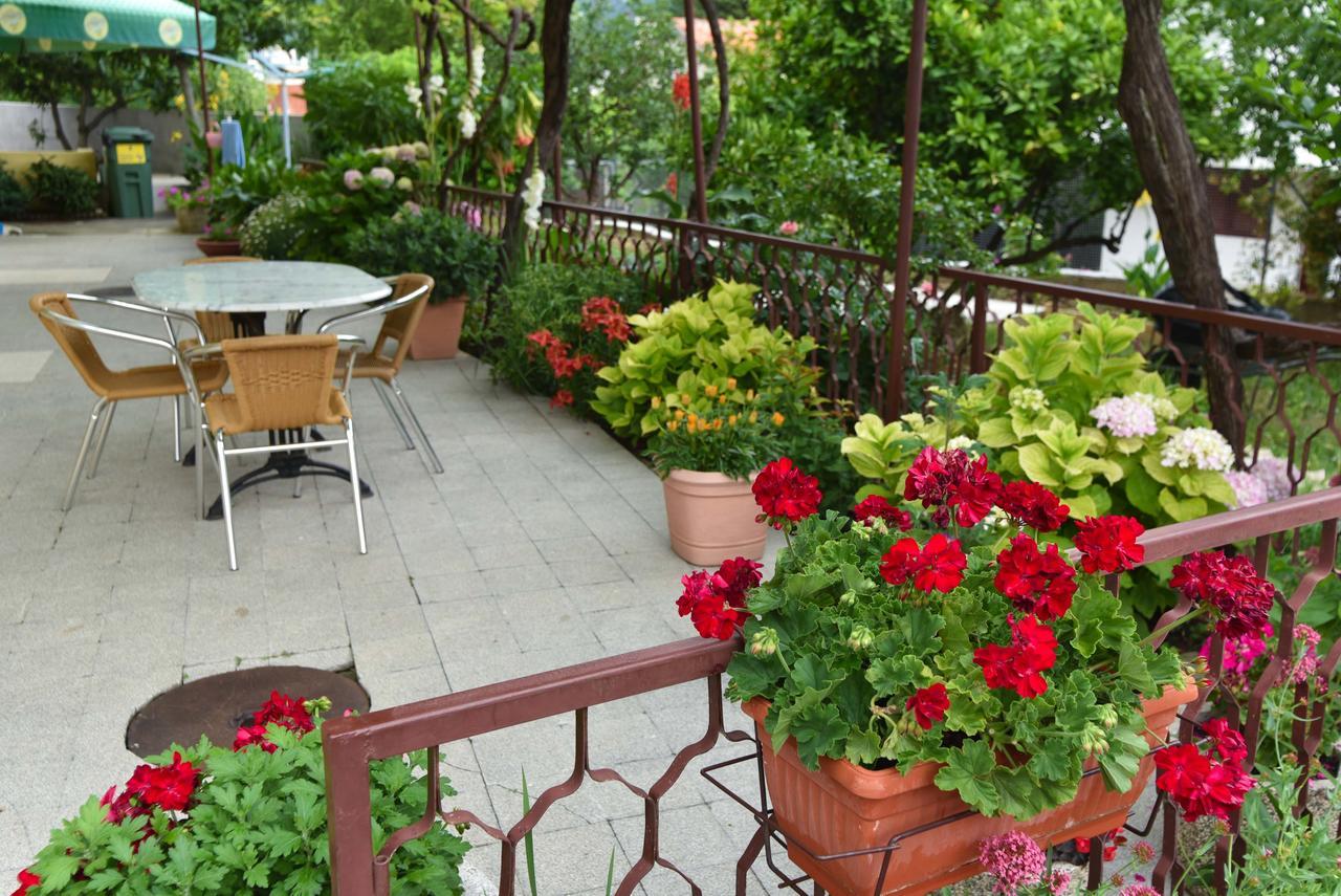 Vila Hortenzija Бечичи Экстерьер фото